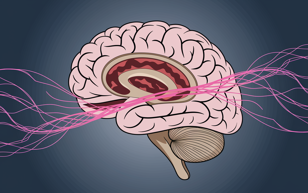 An educational illustration depicting the effects of Alzheimer's disease on the brain. The image shows a cross-section of a human brain with highlighted areas of amyloid plaques and tau tangles, clearly illustrating the degenerative characteristics of Alzheimer's. The background should feature a gradient to signify cognitive decline, with neurons depicted as vibrant connections weaving through the image, portraying the gradual loss of communication between them.