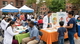 Harnessing Community Programs for Enhanced Healthcare Education