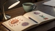 Sketchy vs Pixorize: Which Visual Resource Dominates Step 1 Microbiology Retention?