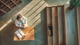 Retake vs Move On: What to Do After an Average Passing Step Score